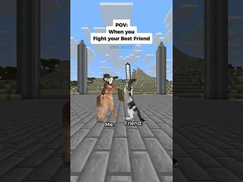POV When You Fight Your Best Friend #catmemes #minecraft #shorts