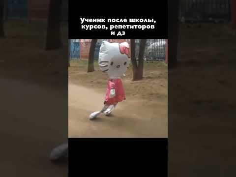 Устал от ЕГЭ
