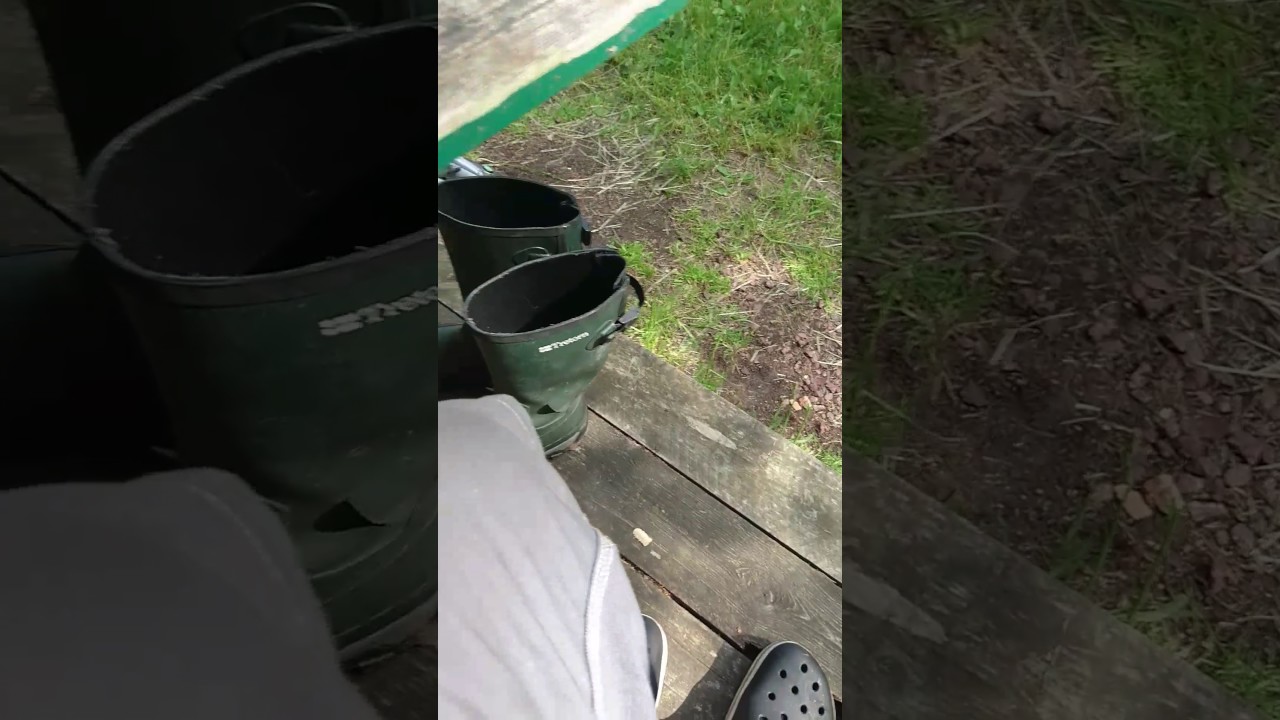 Livet På En Pinne Youtube