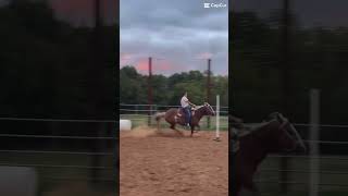 Think i Might end up running Ruby on poles the first hs rodeo #polebending #fypシ゚viral #horse #ruby