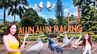 ALUN ALUN KOTA MALANG TERBARU SUASANA SIANG HARI