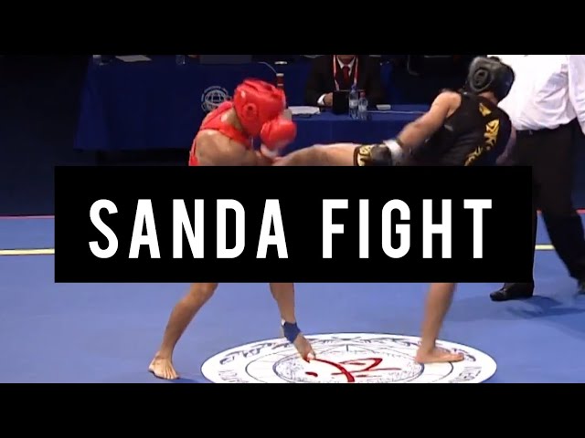 Sanda fight compilation Striking & Wrestling class=