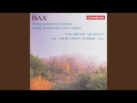 Watch String Quartet No. 2 in E Minor, GP 271: I. Allegro - Tempo vivace on YouTube