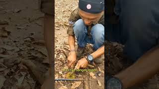 Buah Apa Ini? -Lukas Priyatno Lukaspriyatno2060