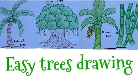 Learn different trees drawing.Easy Coconut tree 🌴, Banyan tree 🌳, Banana tree, Bamboo tree drawing