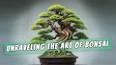 The Intriguing World of Bonsai: Miniature Masterpieces of Nature ile ilgili video