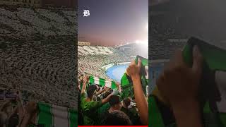 Moroccan Raja Supporters Sing in Solidarity with Palestine