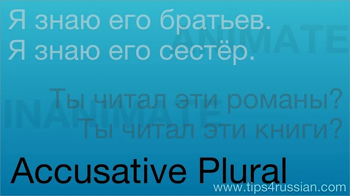 Russian Cases - Accusative Plural