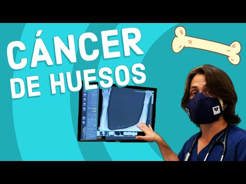 Video: Cáncer De Hueso (hemangiosarcoma) En Perros