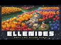 ELLENIDES 🌷 Let the Colors Keep You Company | Soft Lofi Chill Beats for Calm Study & Rest 🧡📚
