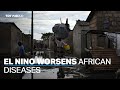 El Nino worsens Africa&#39;s cholera surge, thousands dead
