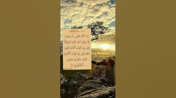 #سورة_آل_عمران #ايات_قرانيه_قصيره #shayari #shotsyoutube #shots #shots_video #shotsfeed