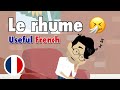 Learn useful french le rhume  the common cold