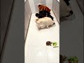 eat time