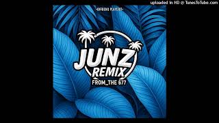 Vaivine Remake sfjunz Remix2025
