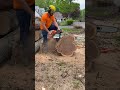 I’m impressed! DGP is the real deal! #chainsaw #faller #chainsaw #oil #treework #arborist #firewood