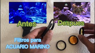 Filtro para fotos y video ACUARIOS MARINOS 🐡💦 by Guppy Lovers 274 views 1 year ago 8 minutes, 16 seconds