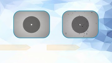 FTTx Connectivity for the CO Part 2