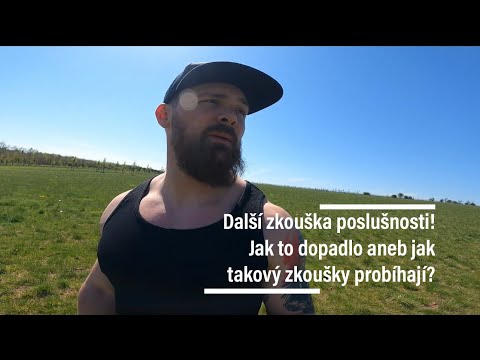 Video: Jak dlouho trvá získání výsledků zkoušky CPA?