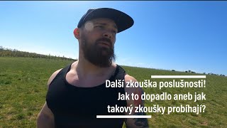 Další zkouška poslušnosti! Jak to dopadlo aneb jak takový zkoušky probíhají?