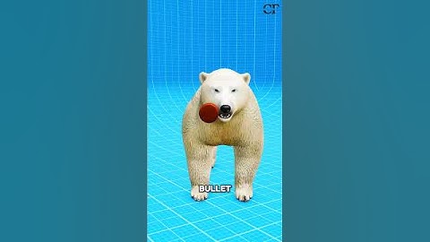what if you shoot a Polar Bear?🤔#shorts
