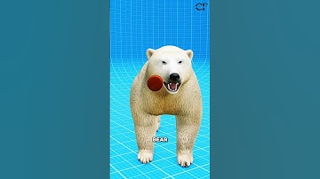 what if you shoot a Polar Bear?🤔#shorts