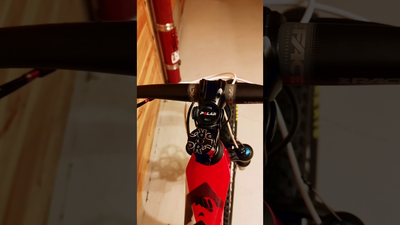 Focus o1e pro 2018 frame protection