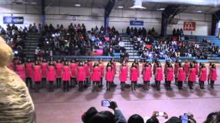AKA Delta Lambda Probate - Delaware State - Spr 2013 - Clip 1