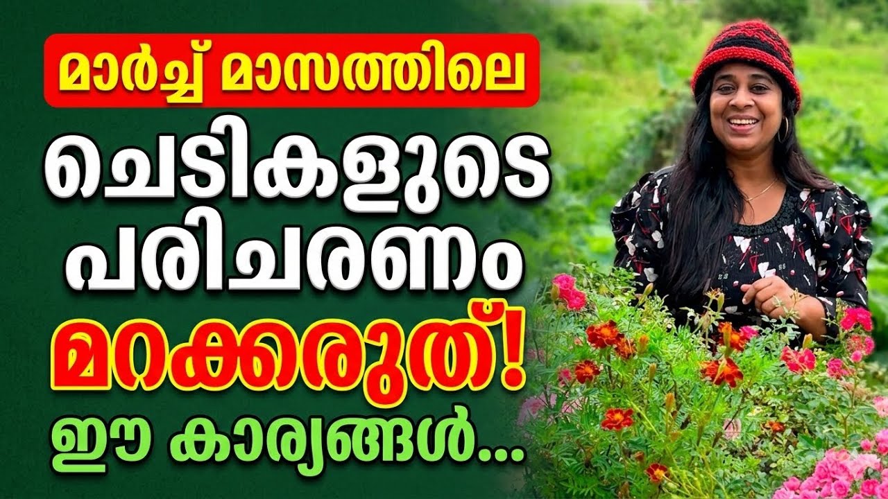 Руководство по уходу за растениями в марте | Уход за растениями в марте | Уход за растениями в Ке...