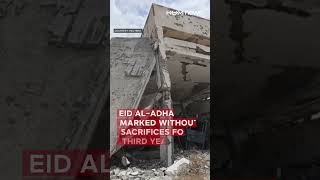 Eid al Adha in Gaza Marked Without Livestock for Third Year