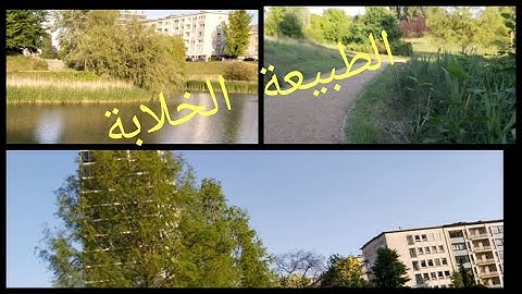 اخيرا خرجت من الدار😍 #جولة معي في #الطبيعة🌾🌴🌻 بعيدا عن روتين المنزل😍