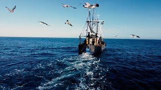 Spuds and Herring: A celebration of the Peel fishing industry