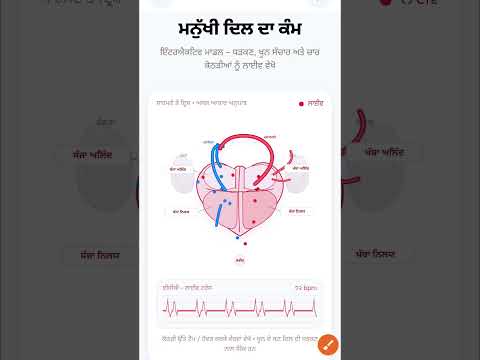 ਮਨੁੱਖੀ ਦਿਲ | How Work Human Heart | Human Heart Working | Biology Class Human Heart |Class 10th