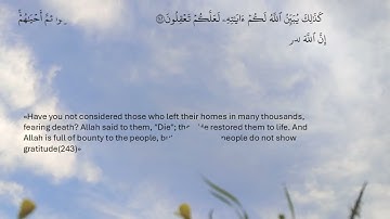 سورة البقرة - صفحة 39 - محمد صديق المنشاوي
