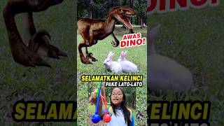 Drama Selamatkan Kelinci dari Dinosaurus pake Lato-Lato