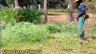 I JUST TRIMMING THE OVERGROWN GRASS AND WEEDS ONLY / NO GRASS CLIPPINGS 