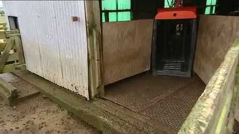 Gallagher Sheep Auto Drafter in action Introduction