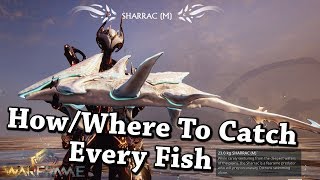 Warframe | How/Where To Catch Every Fish In Plains of Eidolon