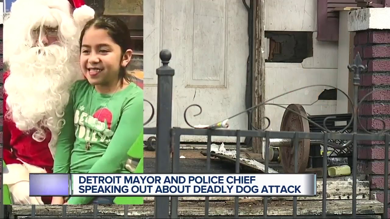 Detroit leaders looking at changes after child mauled to death by dogs ...