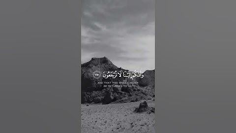 أفحسبتم أنما خلقناكم عبثا وانكم إلينا لاترجعون #تلاوة #القارئ أحمد النفيس