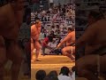 生田目 対 藤天晴 #大相撲名古屋場所#大相撲 #生田目