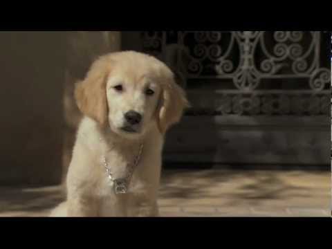 G Hannelius Treasure Buddies Digs Preview