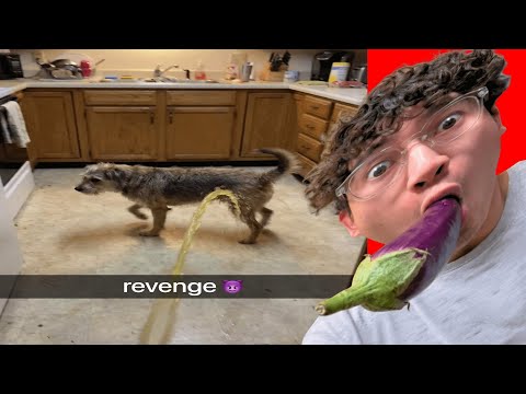 hqdefault.jpg