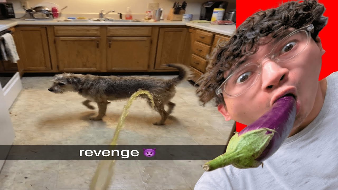 If I Laugh, I Bite My Nuts Off (viewer submitted videos)