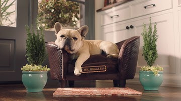 Ooma Home Security - 24/7 Protection for Your Home