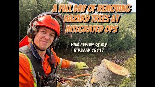A Full Day of Removing Hazard Trees at Integrated Ops