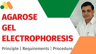 Agarose gel electrophoresis - it's principle, requirements and procedure.