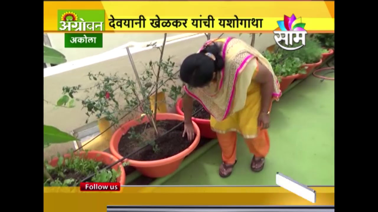 Teres Garden In Marathi Fasci Garden