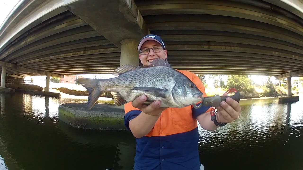 melbourne bream fishing YouTube