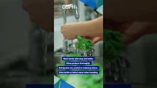Protect Yourself from Cyclosporiasis